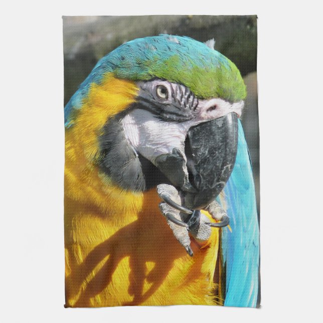 MACAWS TOWEL (Vertical)