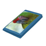Macaws Trifold Wallet