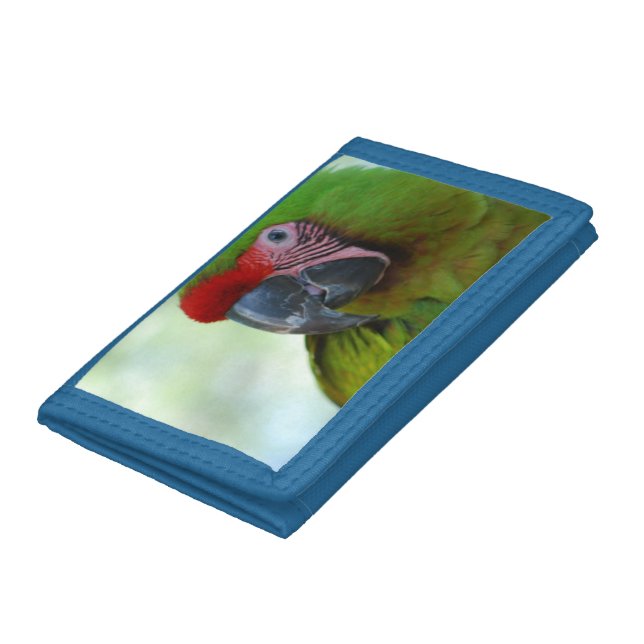 Macaws Trifold Wallet (Bottom)