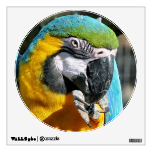 MACAWS WALL STICKER