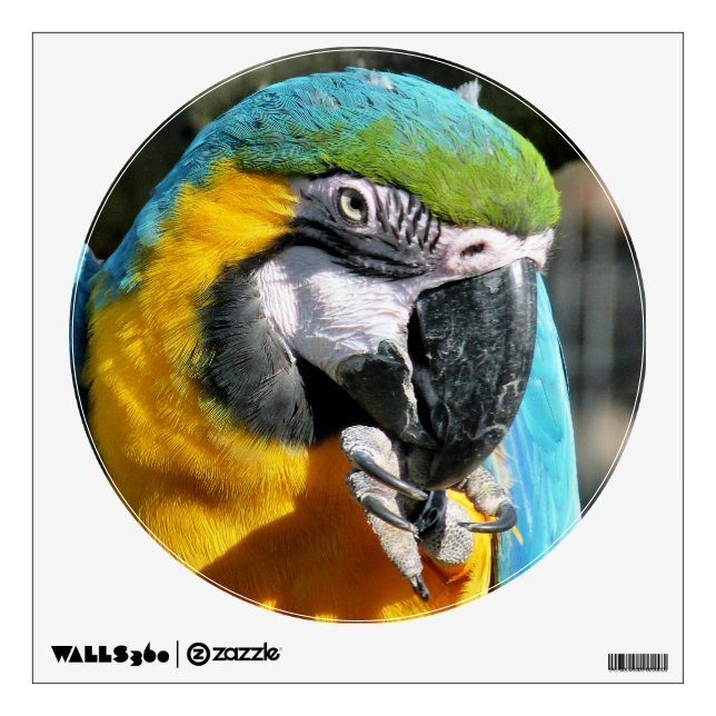 MACAWS WALL STICKER (Front)