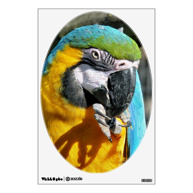 MACAWS WALL STICKER (Front)