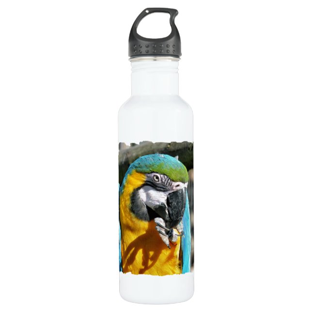 MACAWS WATER BOTTLE (Front)