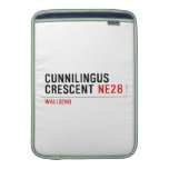 Cunnilingus  crescent  MacBook Air sleeves