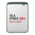 Isla  Dynes  MacBook Air sleeves