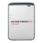 Bacchus Passage  MacBook Air sleeves