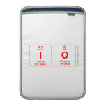 io  MacBook Air sleeves