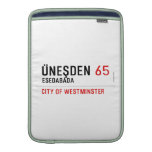 Üneşden  MacBook Air sleeves