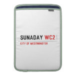 sunaday  MacBook Air sleeves