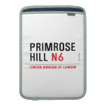 primrose hill  MacBook Air sleeves