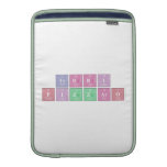 terri
 pizzaro  MacBook Air sleeves