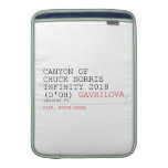 Canyon of chuck norris INFinity 2018 (D'oh)  MacBook Air sleeves