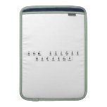 STEM Success
 Workshop  MacBook Air sleeves