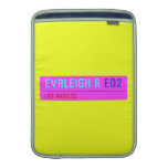 evrleigh r  MacBook Air sleeves