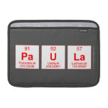 Paula  MacBook Air Sleeves (landscape)