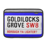 GOLDILOCKS GROVE  MacBook Air Sleeves (landscape)