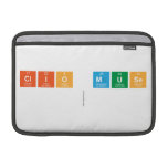 clio Muse
   MacBook Air Sleeves (landscape)