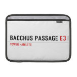 Bacchus Passage  MacBook Air Sleeves (landscape)