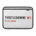 Thistledowne  MacBook Air Sleeves (landscape)