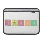 Spunky  MacBook Air Sleeves (landscape)