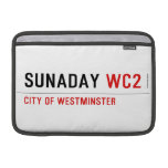 sunaday  MacBook Air Sleeves (landscape)