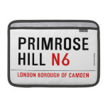 primrose hill  MacBook Air Sleeves (landscape)