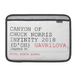 Canyon of chuck norris INFinity 2018 (D'oh)  MacBook Air Sleeves (landscape)