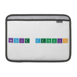 Natalie DePaulis  MacBook Air Sleeves (landscape)