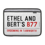 ETHeL and Bert’s  MacBook Air Sleeves (landscape)
