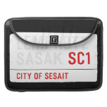LEMPHOTZ SASAK  MacBook Pro Sleeves