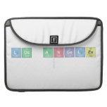 Los Angeles
   MacBook Pro Sleeves