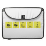 Hornets  MacBook Pro Sleeves
