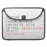 Canyon of chuck norris INFinity 2018 (D'oh)  MacBook Pro Sleeves