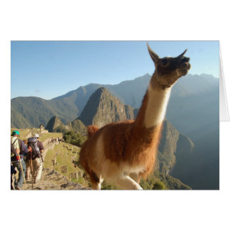 Macchu Picchu Cards