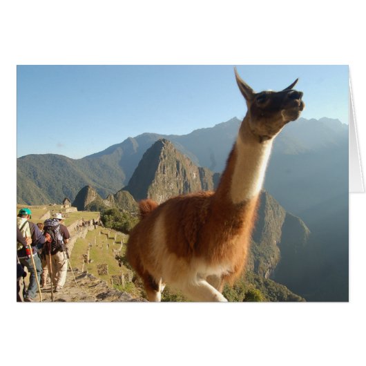 Macchu Picchu Cards (Front Horizontal)