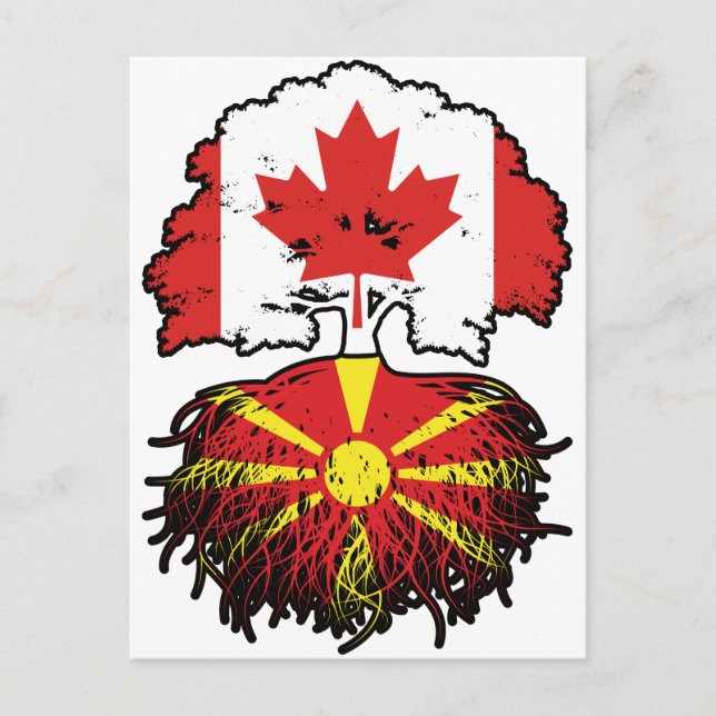 Macedonia Macedonian Canadian Canada Tree Roots Postcard (Front)