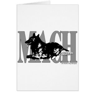 MACH Belgian Terveren Cards