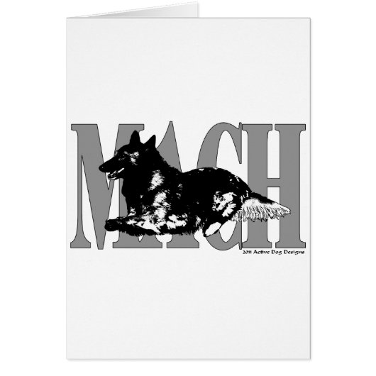 MACH Belgian Terveren Cards (Front)