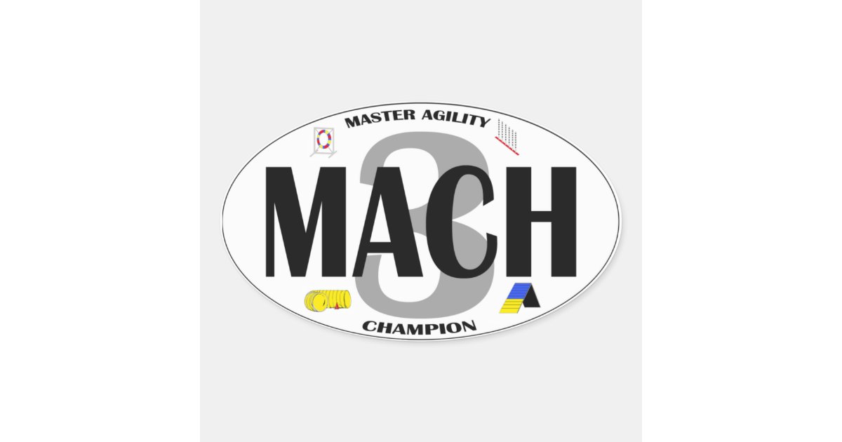 what is a mach in dog agility