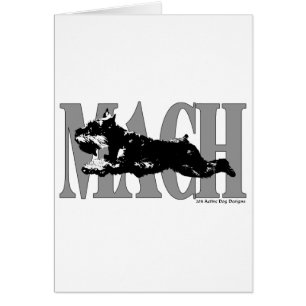 MACH Schnauzer Cards