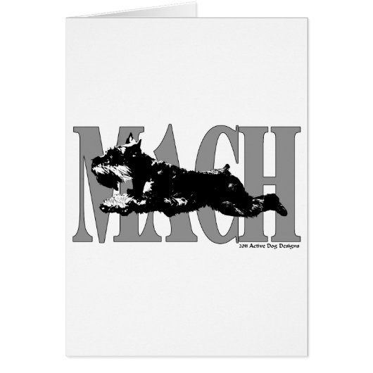 MACH Schnauzer Cards (Front)