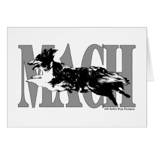 MACH Sheltie Cards