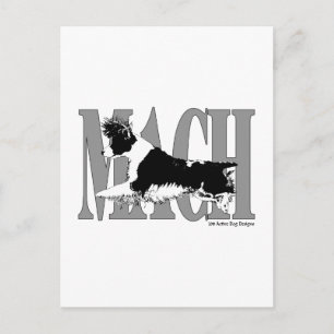 MACH Springer Postcard