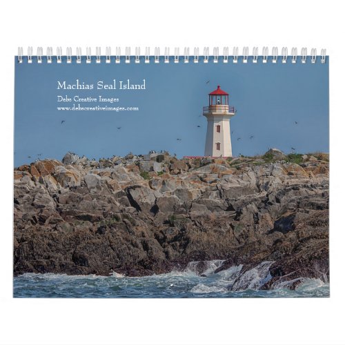 Machias Seal Island Puffins 2024 Calendar