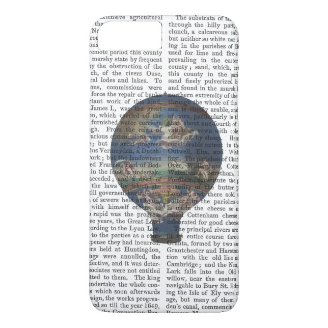 Machine Aerostatique Hot Air Balloon Case-Mate iPhone Case (Back)