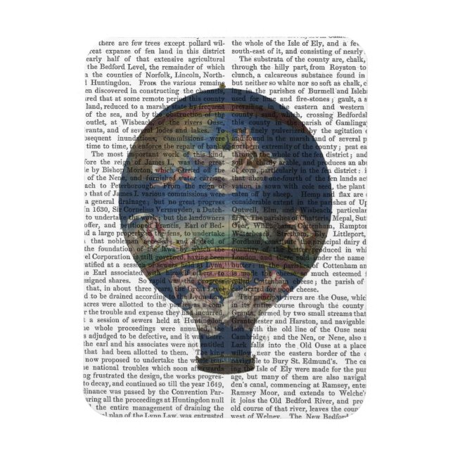Machine Aerostatique Hot Air Balloon Magnet (Vertical)