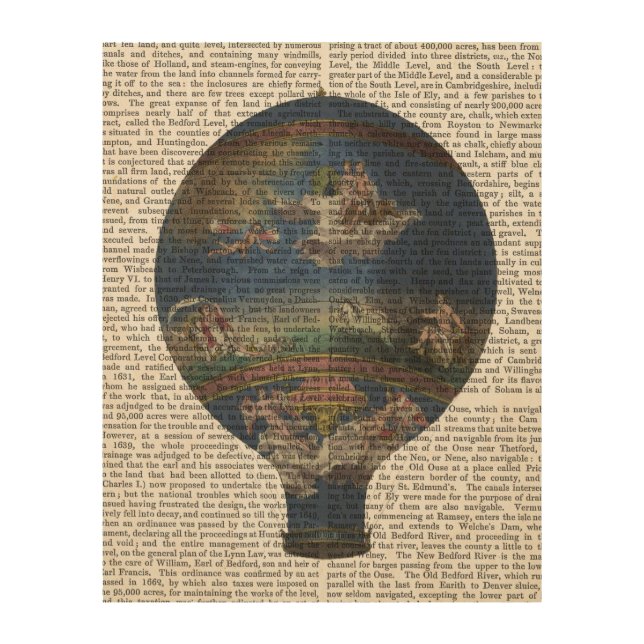 Machine Aerostatique Hot Air Balloon Wood Wall Art (Front)