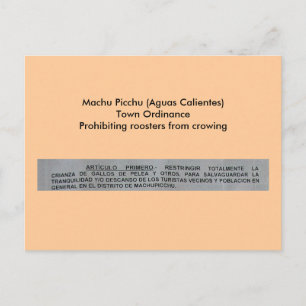 Machu Picchu (Aguas Calientes) Town Ordinance Postcard