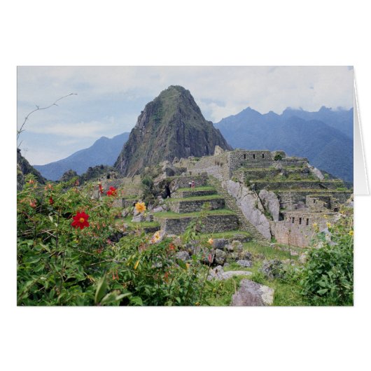 Machu Picchu, Peru Cards (Front Horizontal)
