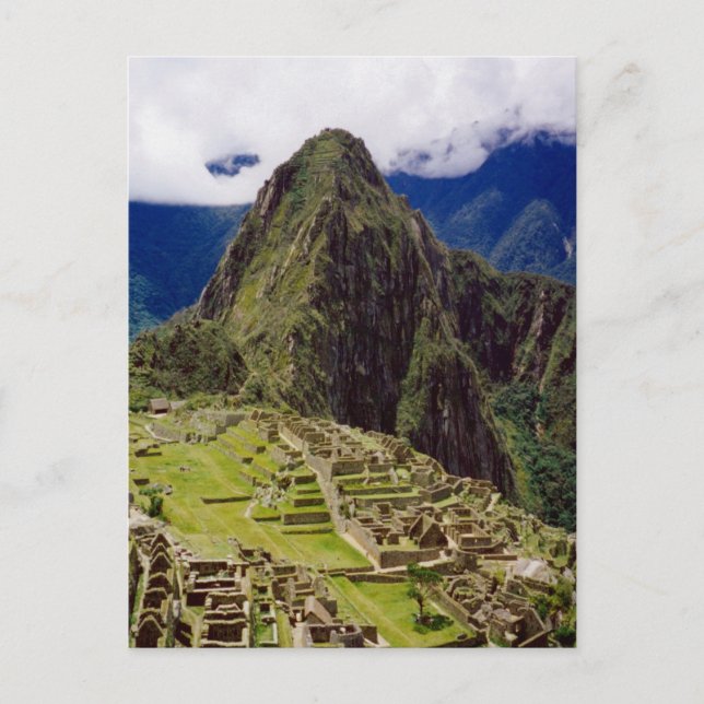 Machu Picchu, Peru Postcard (Front)